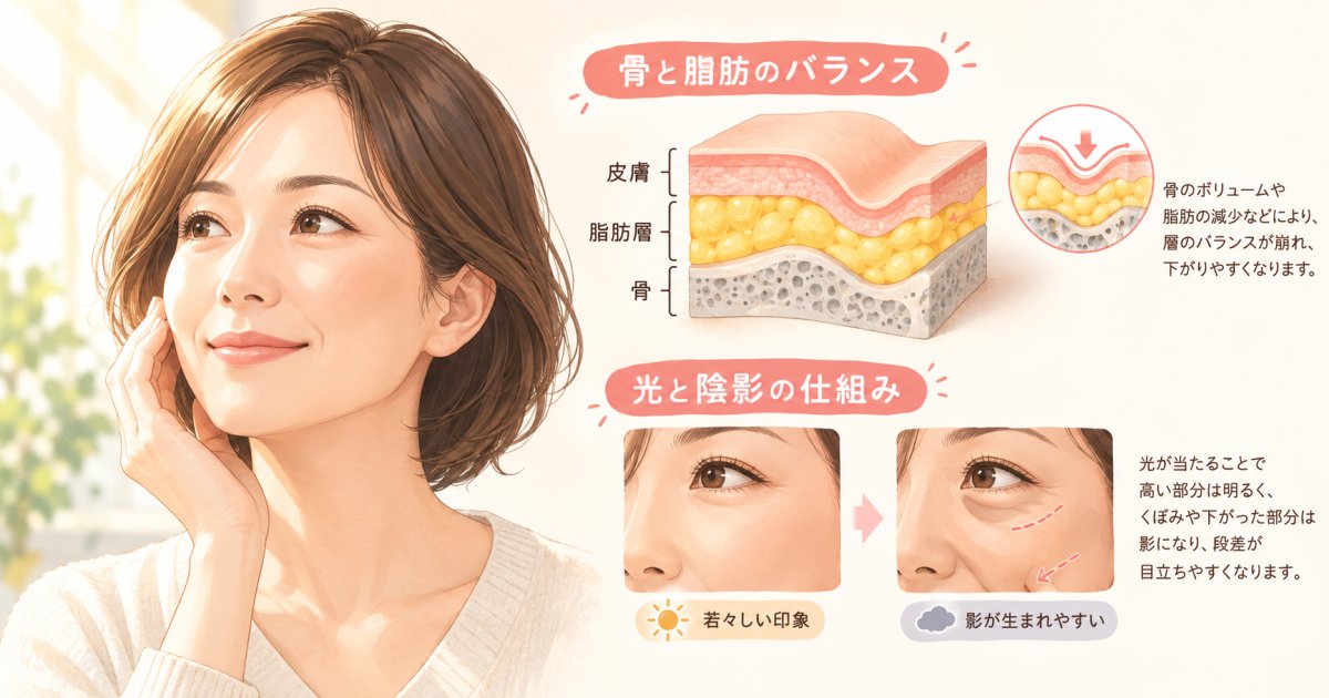 なぜ40代になると顔が疲れて見えるのか?たるみと影が生まれる構造的理由